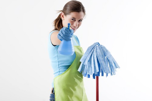 Professional oven cleaning in Finchley