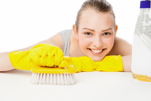 Deep cleaning service for a bathroom in Finchley home