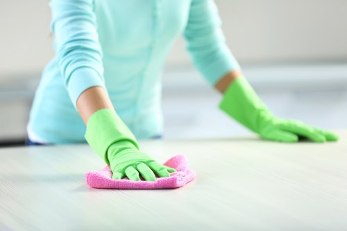 Free quote discussion for an oven cleaning service in Finchley
