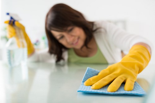 Image showing supplier due diligence and auditing for Finchley oven cleaning services