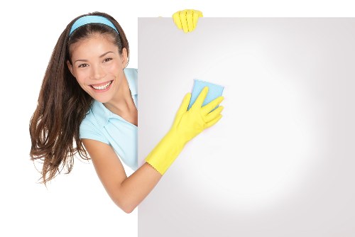 Eco-friendly house cleaning in Finchley with professional tools